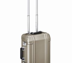 Geo 2 20 Inch Upright 2W Carry on Bronze - now 40% off